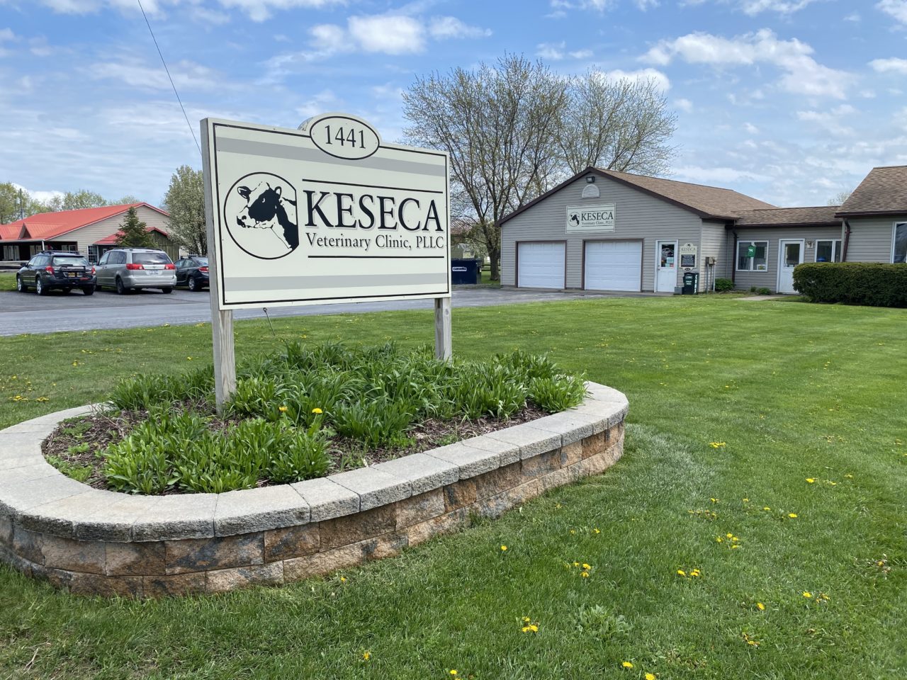 Contact Keseca Veterinary Clinic